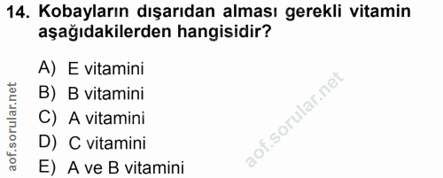 14. soru: Kobayların dışarıdan alması gerekli vitamin aşağıdakilerden hangisidir? A) E vitamini B) B vitamini C) A vitamini D)…
