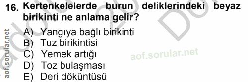16. soru: Kertenkelelerde burun deliklerindeki beyaz birikinți ne anlama gelir? A) Yangıya bağlı birikinti B) Tuz birikintisi C…