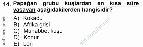 14. soru: Papağan grubu kuşlardan en kısa süre yaşayan aşağıdakilerden hangisidir? A) Kokadu B) Afrika grisi C) Muhabbet kuşu D…