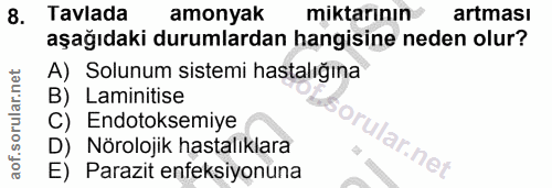 8. soru: Tavlada amonyak miktarının artması aşağıdaki durumlardan hangisine neden olur? A) Solunum sistemi hastalığına B) Lami…