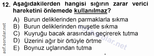 12. soru: Aşağıdakilerden hangisi sığırın zarar verici hareketini önlemede kullanılmaz? A) Burun deliklerinden parmaklarla sıkm…