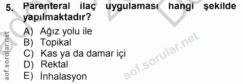 5. soru: Parenteral ilaç uygulaması hangi şekilde yapılmaktadır? A) Ağız yolu ile B) Topikal C) Kas ya da damar içi D) Rektal…