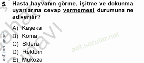 5. soru: Hasta hayvanın görme, işitme ve dokunma uyarılarına cevap vermemesi durumuna ne ad verilir? A) Kaşeksi B) Koma C) Skl…