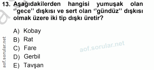 13. soru: Aşağıdakilerden hangisi yumuşak olan "gece" dışkısı ve sert olan "gündüz" dışkısı olmak üzere iki tip dışkı üretir? A…