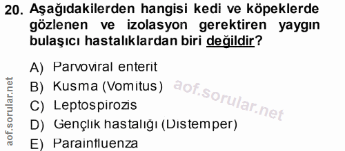 20. soru: Aşağıdakilerden hangisi kedi ve köpeklerde gözlenen ve izolasyon gerektiren yaygın bulaşıcı hastalıklardan biri değil…