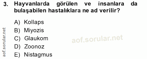 3. soru: Hayvanlarda görülen ve insanlara da bulaşabilen hastalıklara ne ad verilir? A) Kollaps B) Miyozis C) Glaukom D) Zoono…