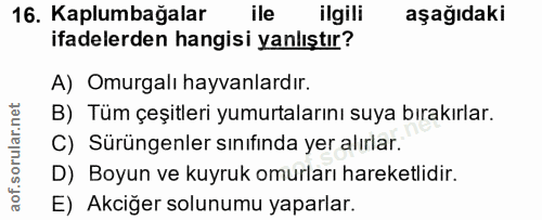 16. soru: Kaplumbağalar ile ilgili aşağıdaki ifadelerden hangisi yanlıştır? A) Omurgalı hayvanlardır. B) Tüm çeşitleri yumurtal…