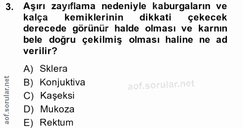 3. soru: Aşırı zayıflama nedeniyle kaburgaların ve kalça kemiklerinin dikkati çekecek derecede görünür halde olması ve karnın…