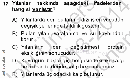 17. soru: Yılanlar hakkında aşağıdaki-ifadelerden hangisi yanlıştır? A) Yılanlarda deri pullarının dizilişleri vücudun değişik…