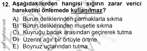 12. soru: Aşağıdakılerden hangisi sığırın zarar verici hareketini önlemede kullanılmaz? A) Burun deliklerinden parmaklarla sıkm…