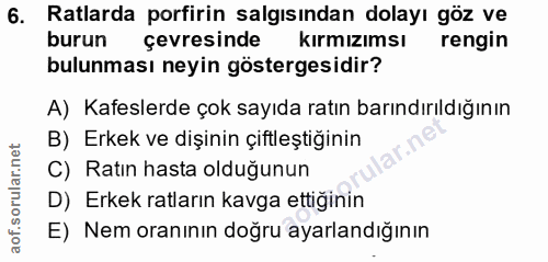 6. soru: Ratlarda porfirin salgısından dolayı göz ve burun çevresinde kırmızımsı rengin bulunması neyin göstergesidir? A) Kafe…