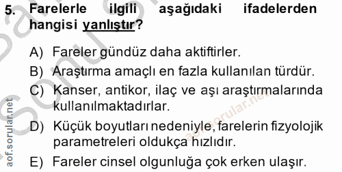 5. soru: Farelerle ilgili aşağıdaki ifadelerden hangisi yanlıştır? A) Fareler gündüz daha aktiftirler. B) Araştırma amaçlı en…