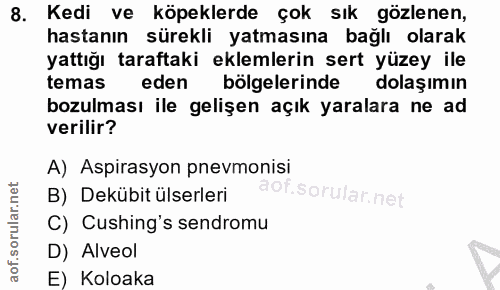 8. soru: Kedi ve köpeklerde çok sık gözlenen, hastanın sürekli yatmasına bağlı olarak yattığı taraftaki eklemlerin sert yüzey…