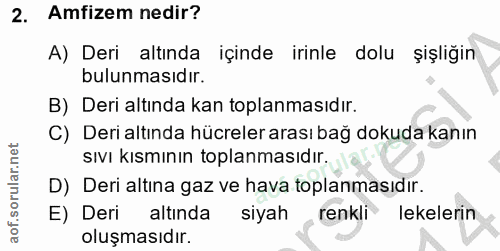 2. soru: Amfizem nedir? A) Deri altında içinde irinle dolu şişliğin bulunmasıdır. B) Deri altında kan toplanmasıdır. C) Deri a…