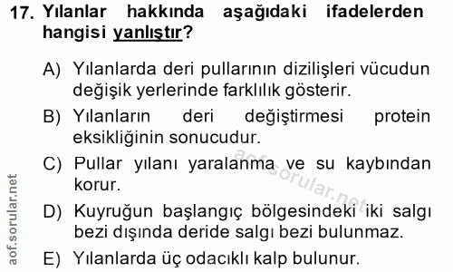 17. soru: Yılanlar hakkında aşağıdaki ifadelerden hangisi yanlıştır? A) Yılanlarda deri pullarının dizilişleri vücudun değişik…