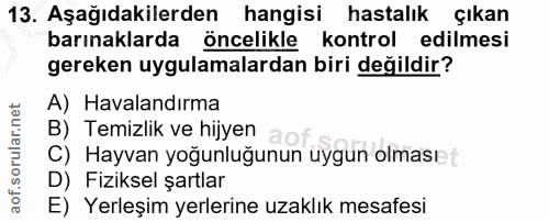 13. soru: Aşağıdakilerden hangisi hastalık çıkan barınaklarda öncelikle kontrol edilmesi gereken uygulamalardan biri değildir?…