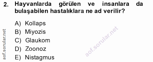 2. soru: Hayvanlarda görülen ve insanlara da bulaşabilen hastalıklara ne ad verilir? A) Kollaps B) Miyozis C) Glaukom D) Zoono…