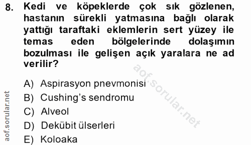 8. soru: Kedi ve köpeklerde çok sık gözlenen, hastanın sürekli yatmasına bağlı olarak yattığı taraftaki eklemlerin sert yüzey…