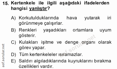 15. soru: Kertenkele ile ilgili aşağıdaki ifadelerden hangisi yanlıştır? A) Korkutulduklarında hava yutarak iri görünmeye çalış…
