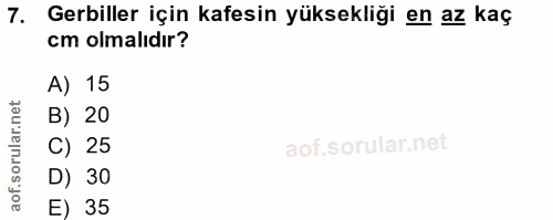 7. soru: Gerbiller için kafesin yüksekliği en az kaç cm olmalıdır? A) 15 B) 20 C) 25 D) 30 E) 35