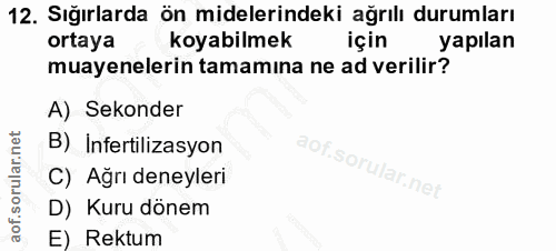 12. soru: Sığırlarda ön midelerindeki ağrılı durumları ortaya koyabilmek için yapılan muayenelerin tamamına ne ad verilir? A) S…