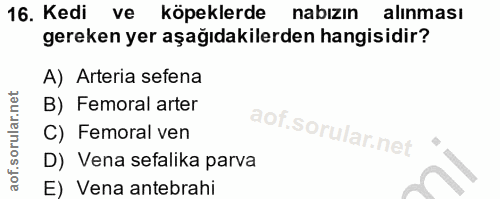 16. soru: Kedi ve köpeklerde nabızın alinması gereken yer aşağıdakilerden hangisidir? A) Arteria sefena B) Femoral arter C) Fem…
