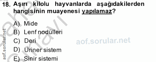 18. soru: Aşırı kilolu hayvanlarda aşağıdakilerden hangisinin muayenesi yapılamaz? A) Mide B) Lenf odülleri C) Deri D) Üriner s…