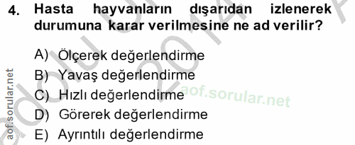 4. soru: Hasta hayvanların dışarıdan izlenerek durumuna karar verilmesine ne ad verilir? A) Ölçerek değerlendirme B) Yavaş değ…