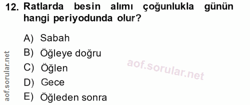 12. soru: Ratlarda besin alımı çoğunlukla günün hangi periyodunda olur? A) Sabah B) Öğleye doğru C) Öğlen D) Gece E) Öğleden sonra