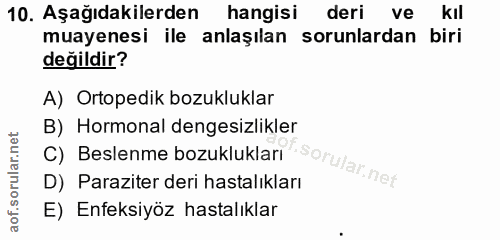 10. soru: Aşağıdakilerden hangisi deri ve kıl muayenesi ile anlaşılan sorunlardan biri değildir? A) Ortopedik bozukluklar B) Ho…