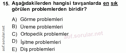 15. soru: Aşağıdakilerden hangisi tavşanlarda en sık görülen problemlerden biridir? A) Görme problemleri B) Üreme problemleri C…