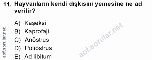 11. soru: Hayvanların kendi dışkısını yemesine ne ad verilir? A) Kaşeksi B) Kaprofaji C) Anöstrus D) Poliöstrus E) Ad libitum