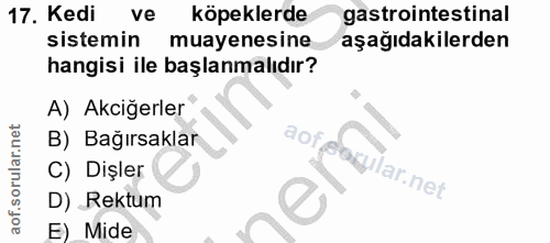 17. soru: Kedi ve köpeklerde gastrointestinal sistemin muayenesine aşağıdakilerden hangisi ile başlanmalıdır? A) Akciğerler B)…