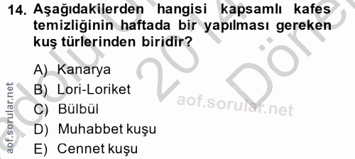 14. soru: Aşağıdakilerden hangisi kapsamlı kafes temizliğinin haftada bir yapılması gereken kuş türlerinden biridir? A) Kanarya…
