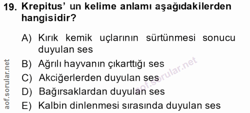 19. soru: Krepitus' un kelime anlamı aşağıdakilerden hangisidir? A) Kırık kemik uçlarının sürtünmesi sonucu duyulan ses B) Ağrı…