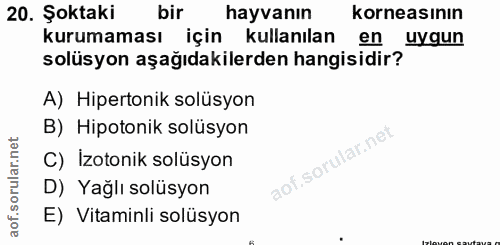 20. soru: Şoktaki bir hayvanın korneasının kurumaması için kullanılan en uygun solüsyon aşağıdakilerden hangisidir? A) Hiperton…