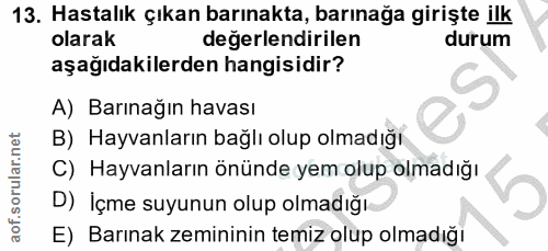 13. soru: Hastalık çıkan barınakta, barınağa girişte ilk olarak değerlendirilen durum aşağıdakilerden hangisidir? A) Barınağın…