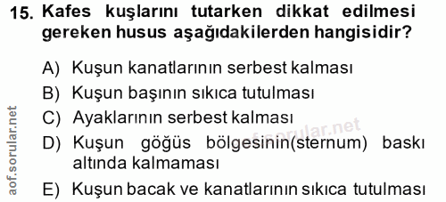 15. soru: Kafes kuşlarını tutarken dikkat edilmesi gereken husus aşağıdakilerden hangisidir? A) Kuşun kanatlarının serbest kalm…