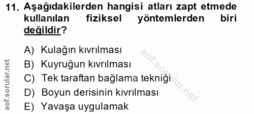 11. soru: Aşağıdakilerden hangisi atları zapt etmede kullanılan fiziksel yöntemlerden değildir? A) Kulağın kıvrılması B) Kuyruğ…