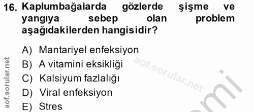 16. soru: Kaplumbağalarda gözlerde şişme ve yangıya sebep olan problem aşağıdakilerden hangisidir? A) Mantariyel enfeksiyon B)…