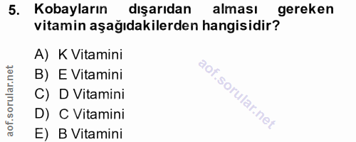 5. soru: Kobayların dışarıdan alması gereken vitamin aşağıdakilerden hangisidir? A) K Vitamini B) E Vitamini C) D Vitamini D)…