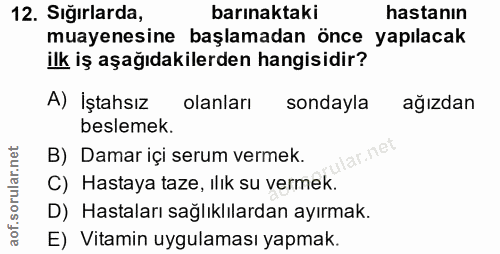 12. soru: Sığırlarda, barınaktaki hastanın muayenesine başlamadan önce yapılacak ilk iş aşağıdakilerden hangisidir? A) İştahsız…