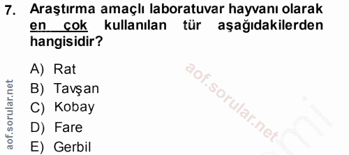 7. soru: Araştırma amaçlı laboratuvar hayvanı olarak en çok kullanılan tür aşağıdakilerden hangisidir? A) Rat B) Tavşan C) Kob…