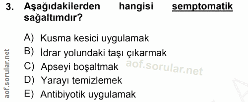 3. soru: Aşağıdakilerden hangisi semptomatik sağaltımdır? A) Kusma kesici uygulamak B) İdrar yolundaki taşı çıkarmak C) Apseyi…