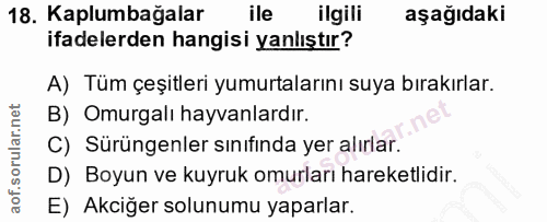 18. soru: Kaplumbağalar ile ilgili aşağıdaki ifadelerden hangisi yanlıştır? A) Tüm çeşitleri yumurtalarını suya bırakırlar. B)…