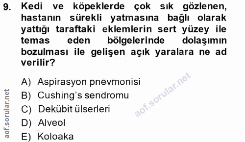 9. soru: Kedi ve köpeklerde çok sık gözlenen, hastanın sürekli yatmasına bağlı olarak yattığı taraftaki eklemlerin sert yüzey…