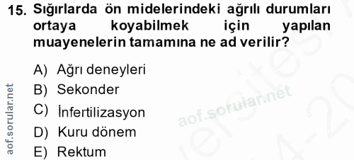 15. soru: Sığırlarda ön midelerindeki ağrılı durumları ortaya koyabilmek için yapılan muayenelerin tamamına ne ad verilir? A) A…