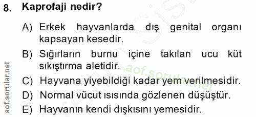 8. soru: Kaprofaji nedir? A) Erkek hayvanlarda - dış genital organı kapsayan kesedir. B) Sığırların burnu içine takılan ucu kü…
