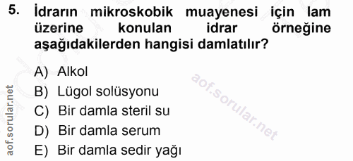 5. soru: İdrarın mikroskobik muayenesi için lam üzerine konulan idrar örneğine aşağıdakilerden hangisi damlatılır? A) Alkol B)…
