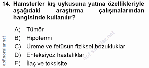 14. soru: Hamsterler kış uykusuna yatma özellikleriyle aşağıdaki araştırma çalışmalarından hangisinde kullanılır? A) Tümör B) H…
